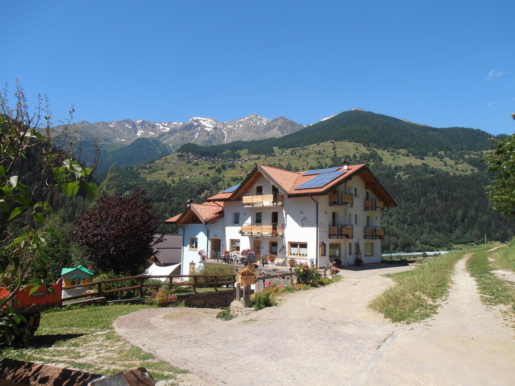 Baita Scaia Bed & Breakfast Cogolo Bagian luar foto